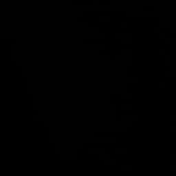 Calm Informative Speaker