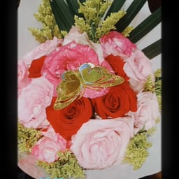 Calm Measured Narrator