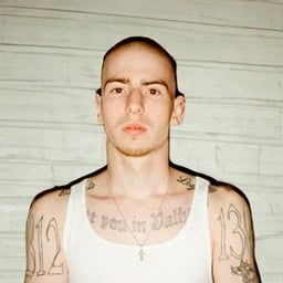 френдли таг 52