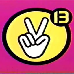 Locutor de Canal 13 (Viva El Verano, 2002)