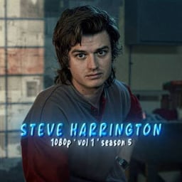 Steve Harrington 