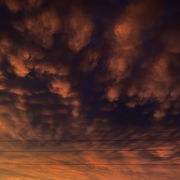 Animated Young Female