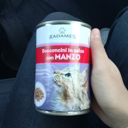 Voce Bambina Allegra