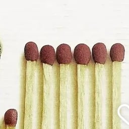 Universal matured voice 