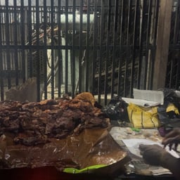 Voz Informativa Clara