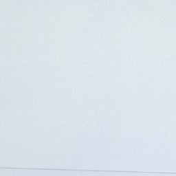 Warme Nederlandse Stem