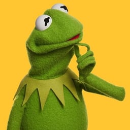 Kermit the Frog (Steve Whitmire)