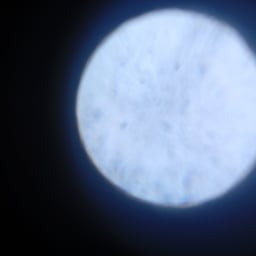 Friendly Young Narrator