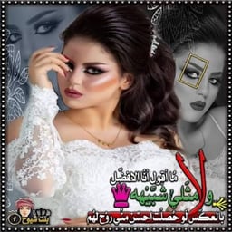 مصطفى الحجي 