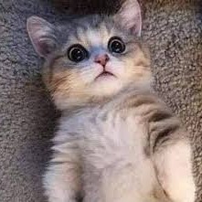 Voz_Michi_Cientifico