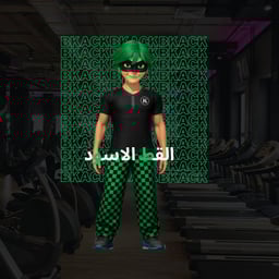 القط الاسود 
