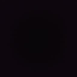 Dang Ol' Right -- Playful Poodle Pal