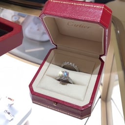 Energetic Friendly Female