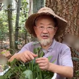 草帽版老老老登