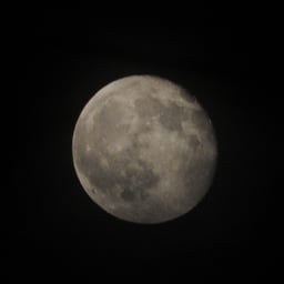 しなの鉄道（１１５）