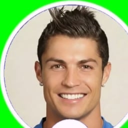 Deutsche Sportstimme
