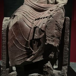 صوت عربي حيوي