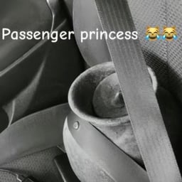 Clear Everyday Speaker