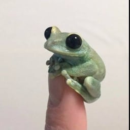 AJAKAJJAJIJABIUAJOIAJ