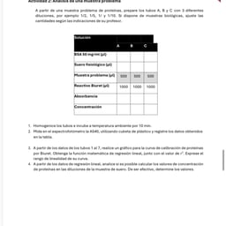 Voz Conversacional Masculina