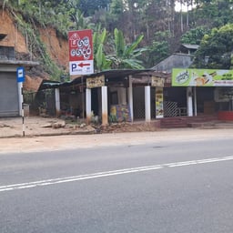 Natural Science Narrator