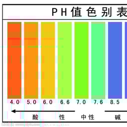 首儿-新闻采访女