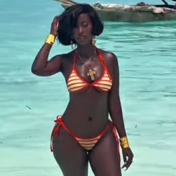 Articulate Male Narrator