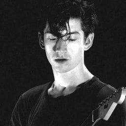 Alex Turner 