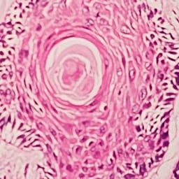 صوت عراقية ريانية