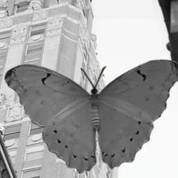 Male transatlantic accent