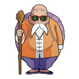 MAESTRO ROSHI_DRAGON BALL_TOEI ANIMATION