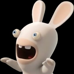 Rabbid 