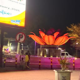 Accented Energetic Speaker