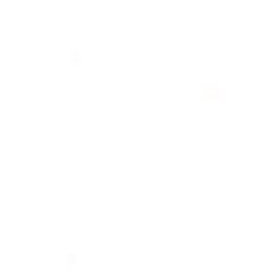 homem- 20anos - fala rapida