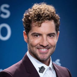 David bisbal