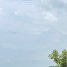 Joven Conversador Masculino