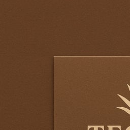 Voz Conversacional Amigable