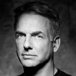 Mark harmon 
