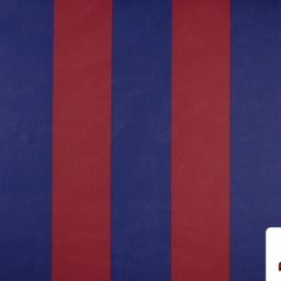 Voz Clara Profesional