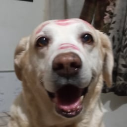 Dramatic Female Narrator