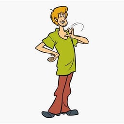 Shaggy Rogers