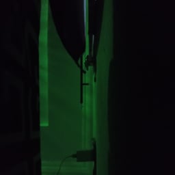 Energetic Sports Fan