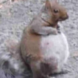 Voz Infantil Juguetona