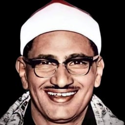 محمد صديق المنشاوي 