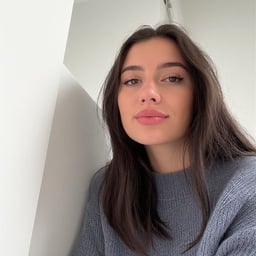 Reflective Indie Artist