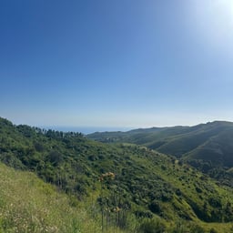 Calm Nature Narrator