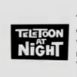 Teletoon At Night Announcer - (2009-2019)