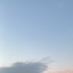 صوت عربي حكيم