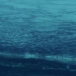 三上读书吧妈妈