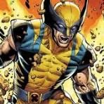 VOZ WOLVERINE